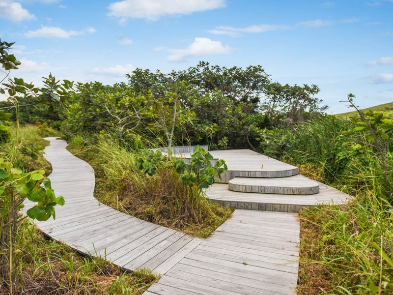 A scenic timber boardwalk winds through a natural garden setting, leading to a raised wooden deck area surrounded by lush greenery.