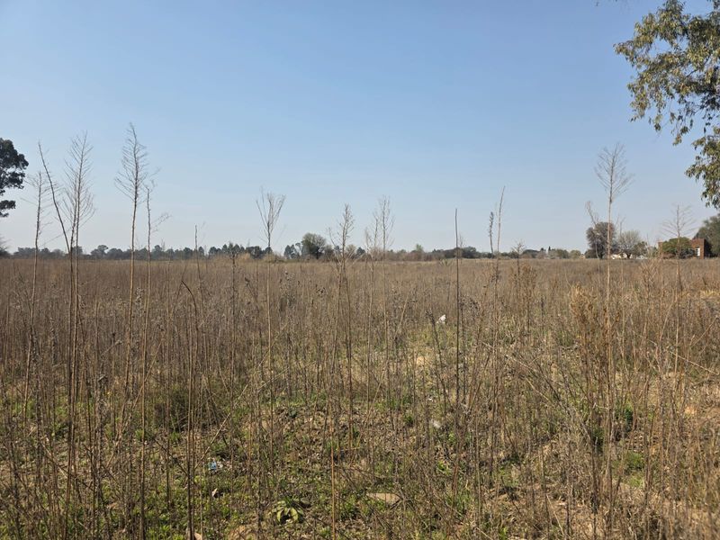 A view of a vacant residential plot featuring natural vegetation and open land, suitable for future development.