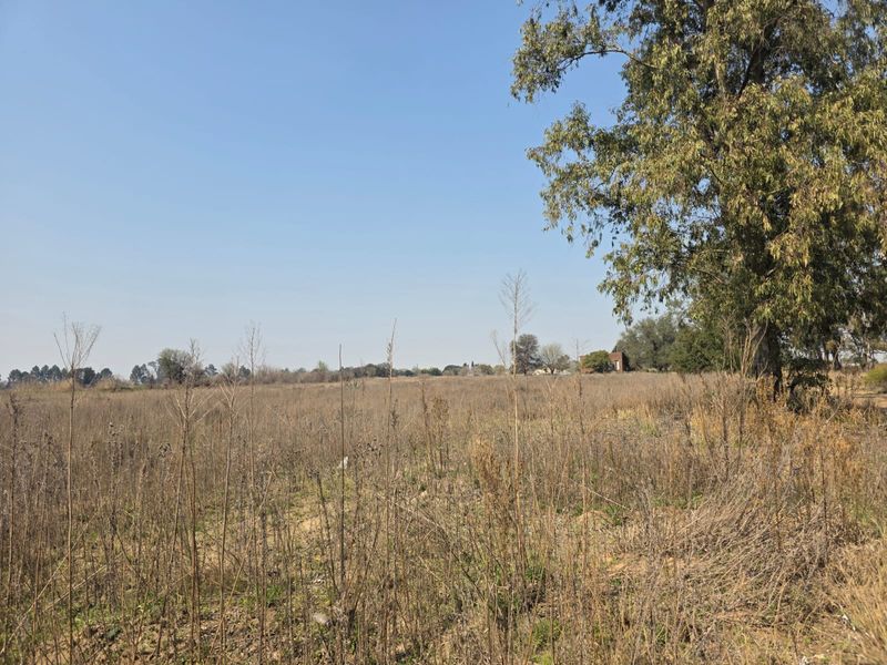 A wide-angle view of a vacant residential plot featuring dry natural vegetation and mature trees under a clear blue sky.