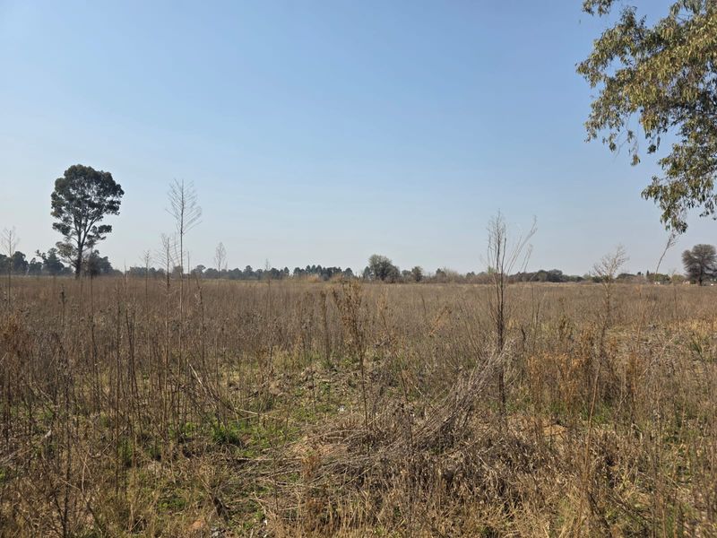 A wide-angle view of a vacant residential plot featuring natural dry vegetation and mature trees under a clear blue sky.