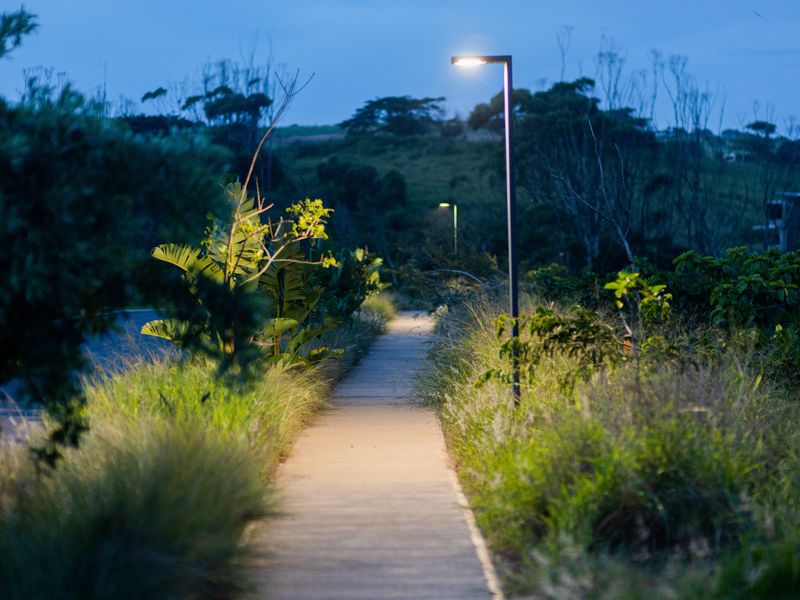 A landscaped pathway featuring concrete paving and integrated pedestrian lighting, set within a natural residential garden environment at dusk.