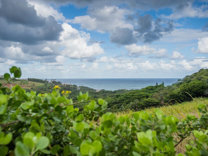 A scenic elevated view overlooking lush coastal vegetation and the ocean horizon.