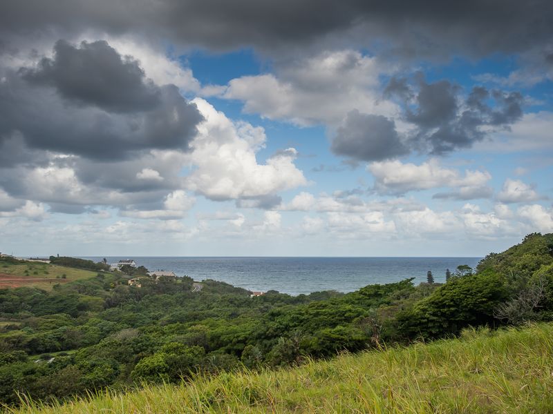 A scenic elevated view overlooking lush coastal vegetation and the ocean horizon under a cloudy sky.