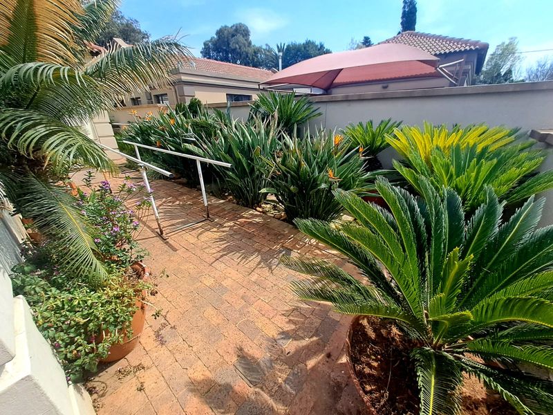 A landscaped garden area featuring brick paving, established cycad plants, a metal handrail, and a perimeter boundary wall with a shade sail.