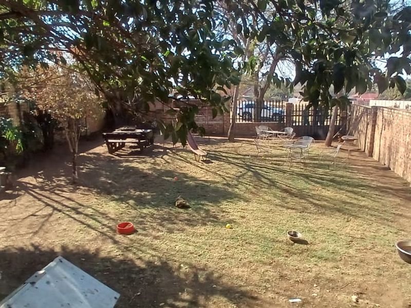 A spacious backyard featuring established trees and enclosed by high brick boundary walls, offering a private outdoor area.