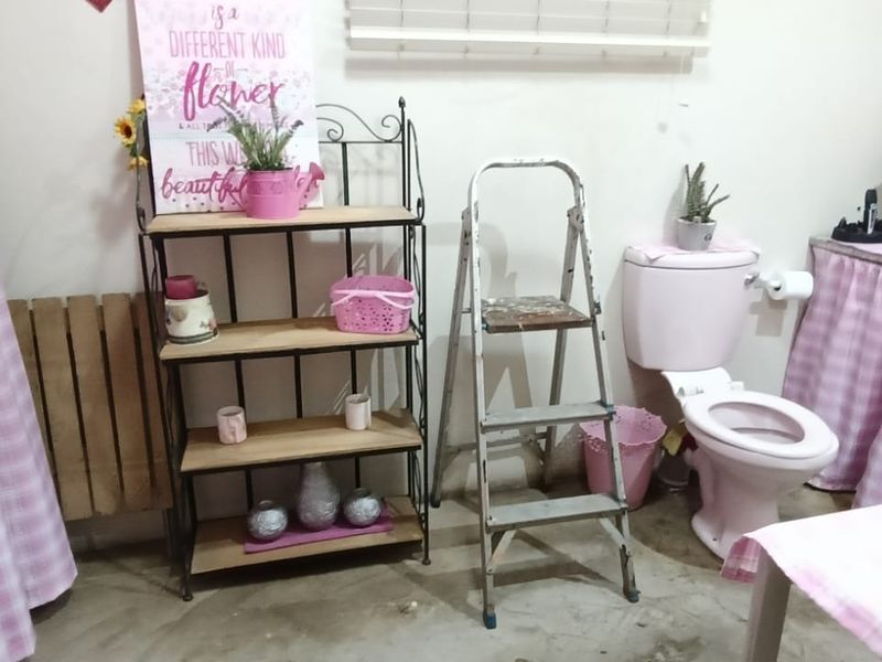 A bathroom featuring a pink toilet and vanity, currently requiring flooring and wall finishing to complete the space.