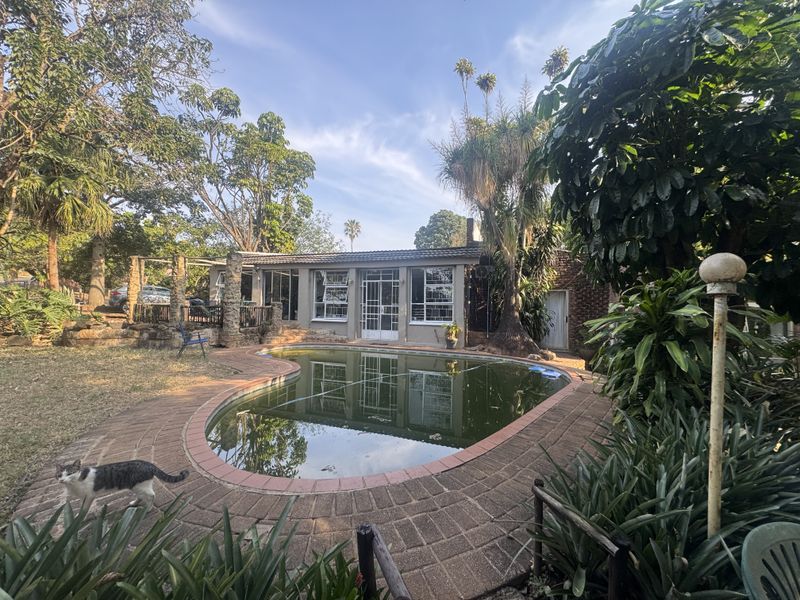 Outdoor pool area featuring a kidney-shaped swimming pool with brick paving, surrounded by established garden landscaping and mature trees.