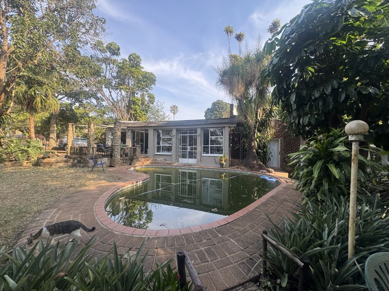 Rear exterior view featuring a swimming pool with brick paving, surrounded by mature trees and established garden landscaping.