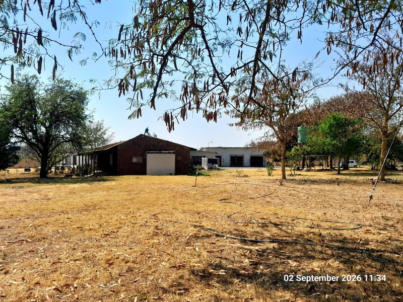 A view of the rear farm property featuring brick outbuildings, a water tank, and expansive dry grounds under mature trees.
