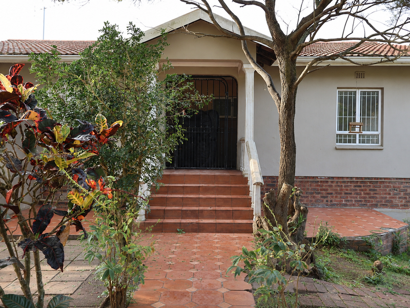Front entrance of a single-story house featuring a tiled patio, security gate, and brick-accented facade with established garden surroundings.