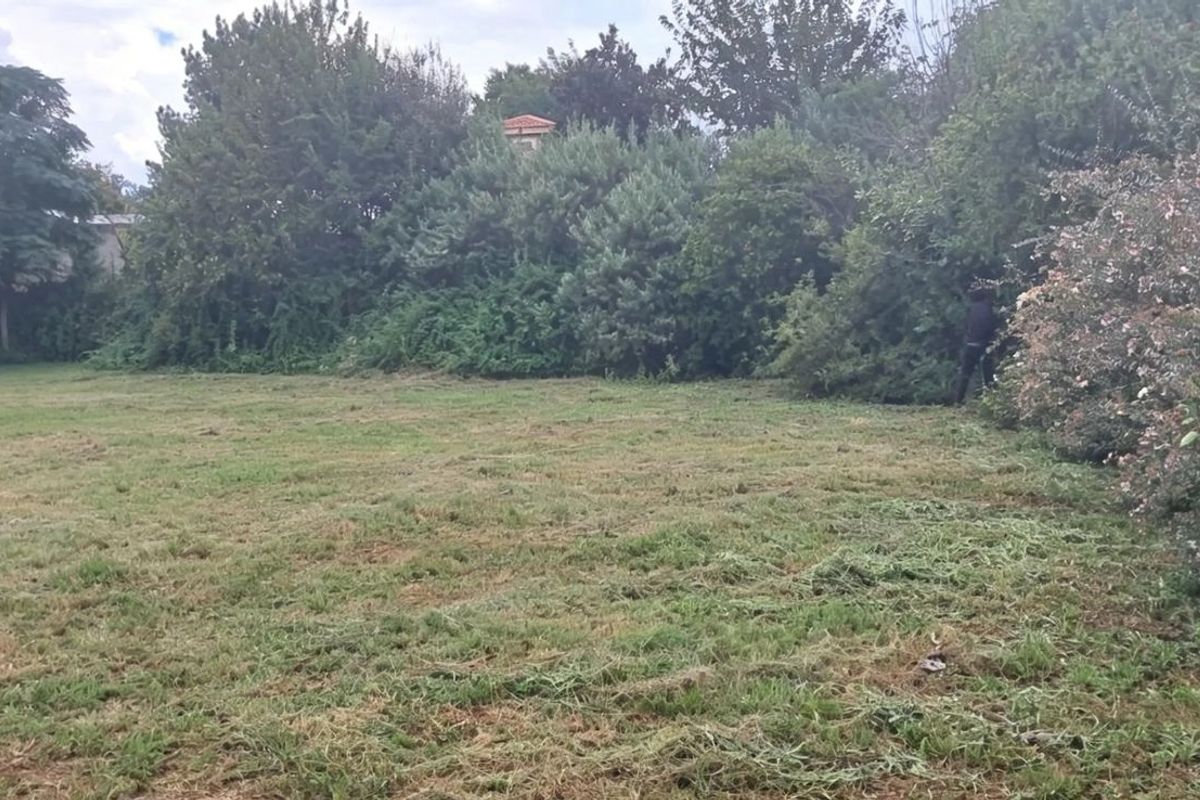 A spacious, cleared residential plot featuring mature trees, established shrubbery, and secure metal perimeter fencing.