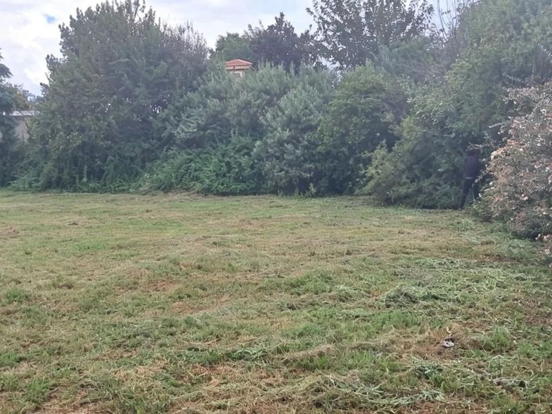 A spacious, cleared residential plot featuring mature trees, established shrubbery, and secure metal perimeter fencing.