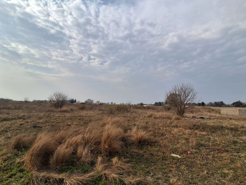 A wide-angle view of a vacant residential plot featuring natural dry grass and sparse vegetation under a cloudy sky.