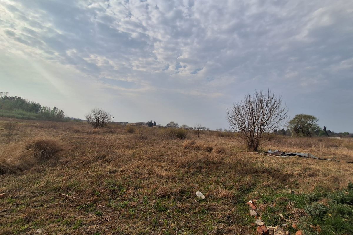 An expansive, undeveloped residential plot featuring natural dry grass, scattered trees, and open terrain, suitable for future construction or landscaping projects.