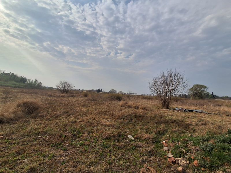 An expansive, undeveloped residential plot featuring natural dry grass, scattered trees, and open terrain, suitable for future construction or landscaping projects.