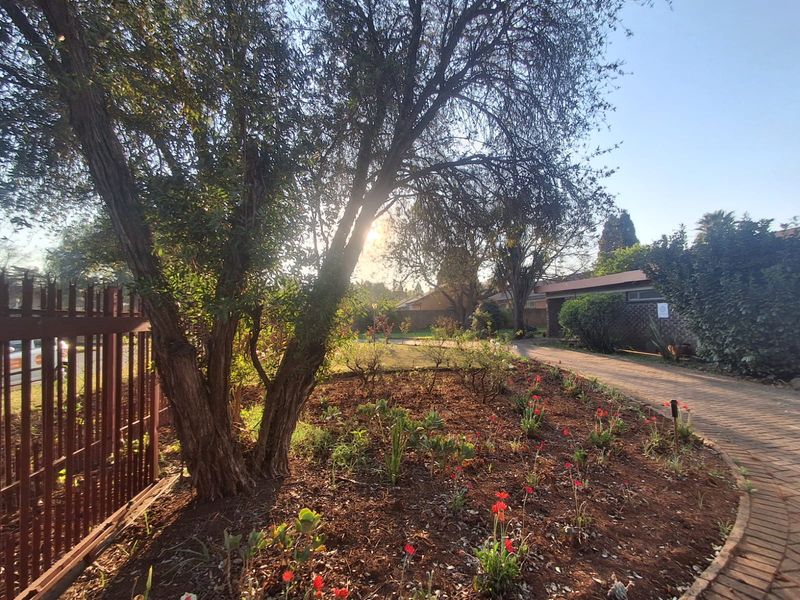 A view of the front garden featuring a paved driveway, established trees, and landscaped flower beds enclosed by metal perimeter fencing.