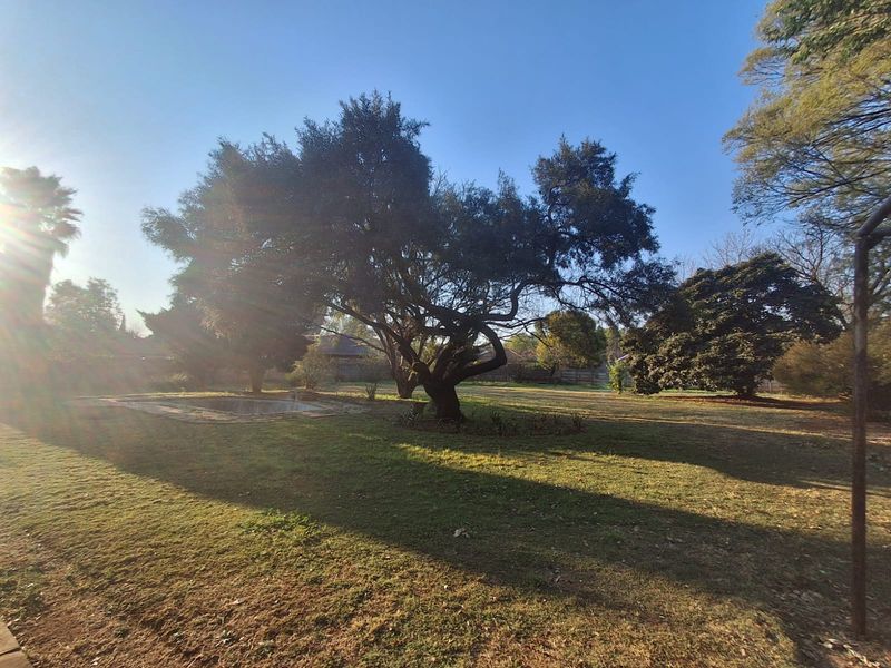 A spacious backyard featuring a large lawn, mature trees, and an existing swimming pool area.