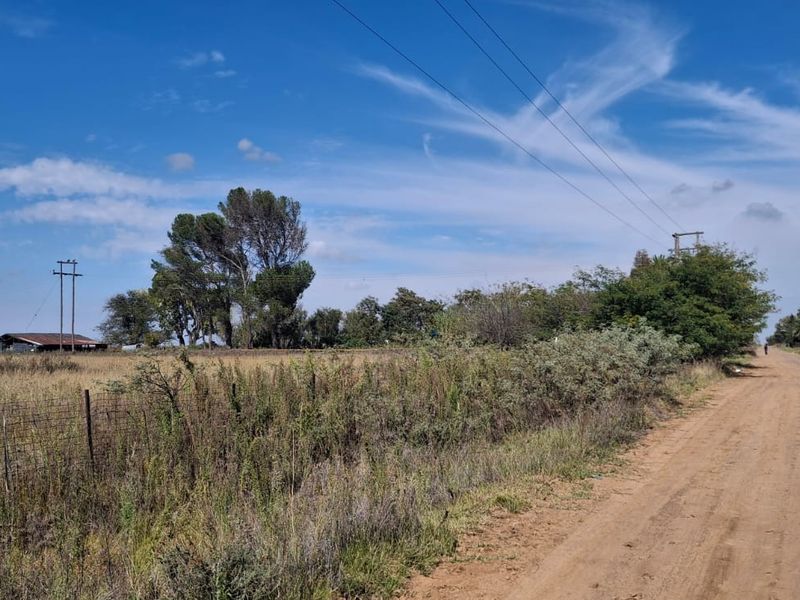 A view of a rural dirt road leading towards open farmland with visible utility poles and wire fencing.