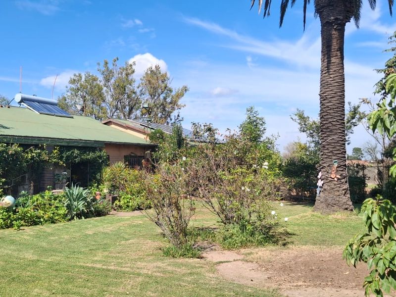 A view of the rear garden and property facade featuring a mature palm tree, established landscaping, and a roof-mounted solar water heating system.