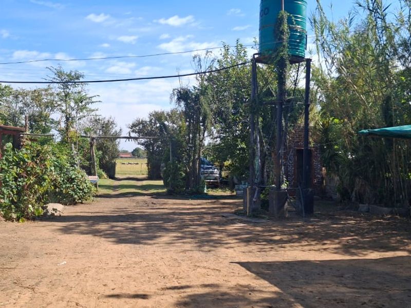 Exterior view of a farm property featuring a dirt driveway, a water tank on a steel stand, and a carport structure.