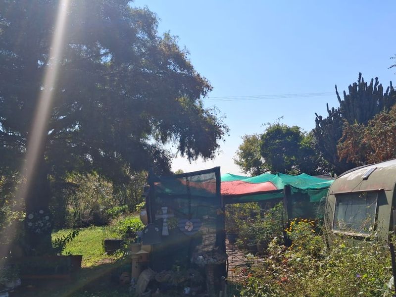 A view of a garden area featuring mature trees and a shaded structure on the farm property.