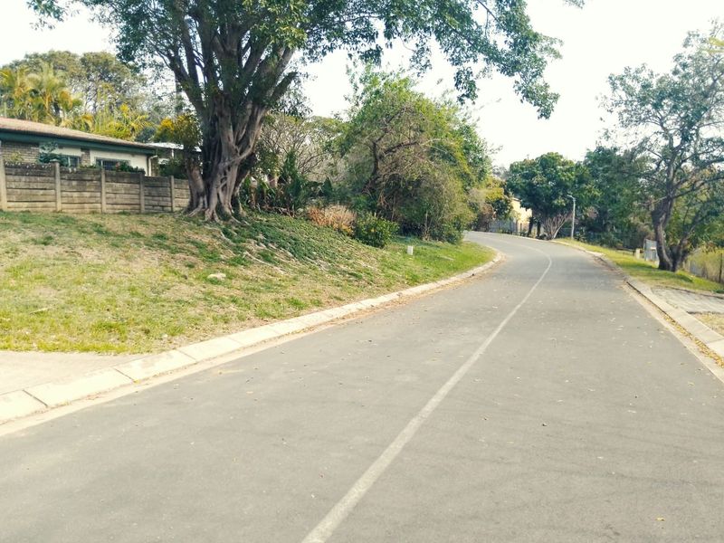 A view of the residential street approach featuring mature trees, paved road, and concrete boundary walling.