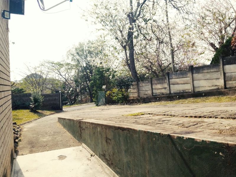 Front exterior view showing a concrete driveway, retaining wall, and boundary wall with mature trees in the background.