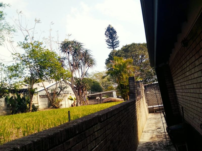 A view of the rear garden area featuring a brick boundary wall, a concrete pathway, and established lawn and trees.