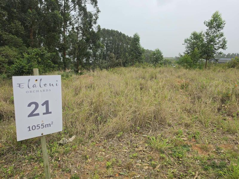 A vacant residential plot measuring 1055 square meters, featuring natural vegetation and established trees in a quiet estate setting.