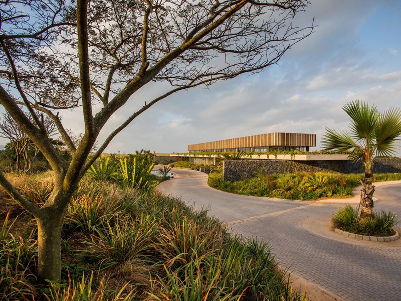 A modern architectural building featuring timber cladding and a gabion stone retaining wall, set within a beautifully landscaped driveway and garden area.
