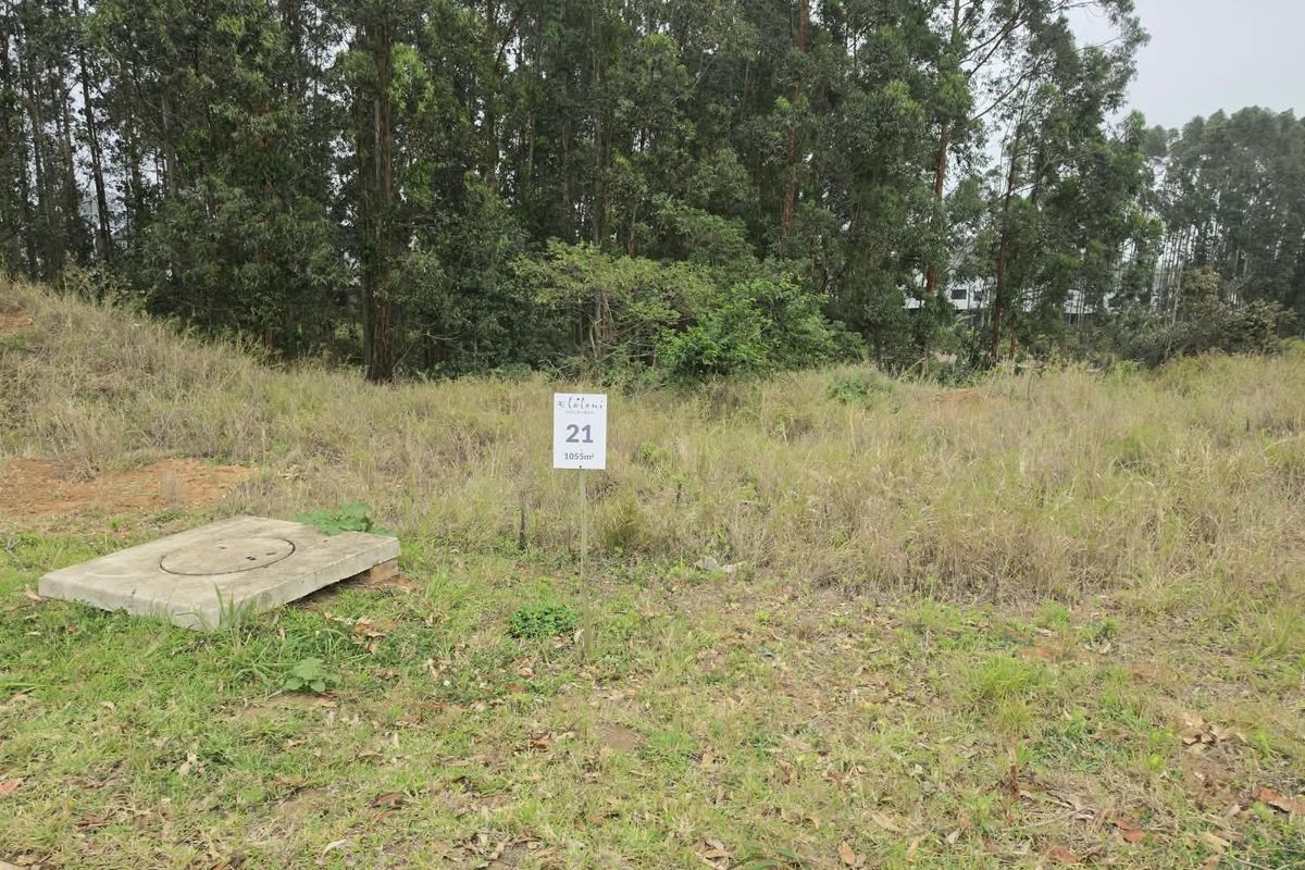 A vacant residential plot featuring natural vegetation, mature trees in the background, and a concrete inspection cover on the site.