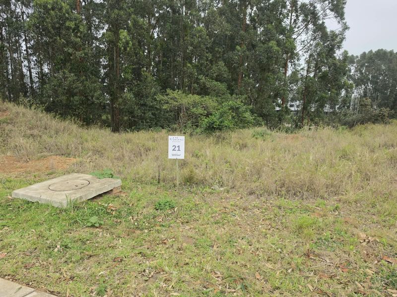 A vacant residential plot featuring natural vegetation, mature trees in the background, and a concrete inspection cover on the site.