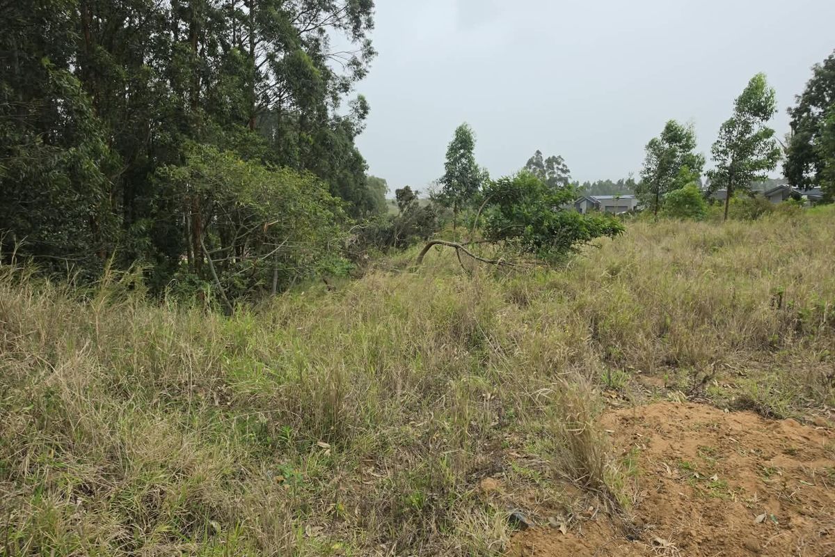 A view of a sloped, undeveloped residential plot featuring natural vegetation and mature trees.