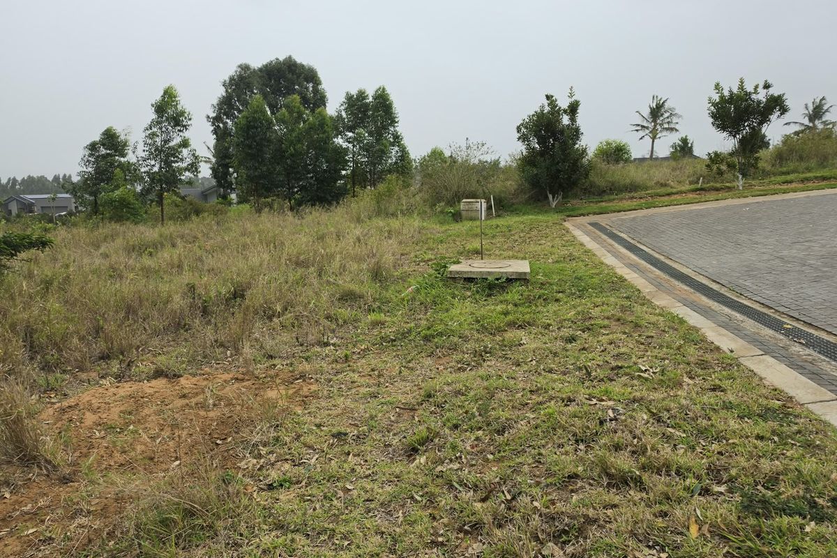 A vacant residential plot featuring natural grass coverage, a paved driveway edge, and visible utility infrastructure.