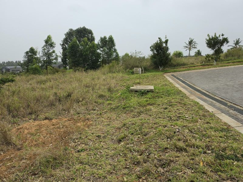 A vacant residential plot featuring natural grass coverage, a paved driveway edge, and visible utility infrastructure.