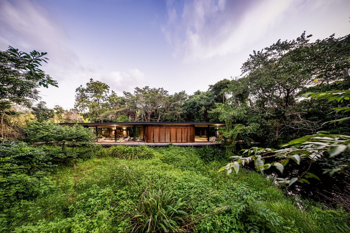 A modern architectural residence featuring timber cladding and a wide covered deck, nestled within a lush, natural forest setting.