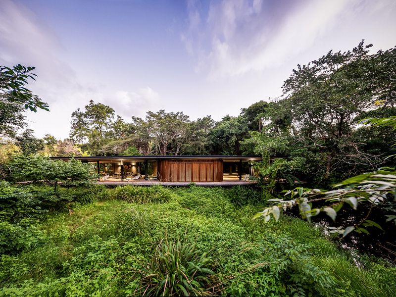 A modern architectural residence featuring timber cladding and a wide covered deck, nestled within a lush, natural forest setting.