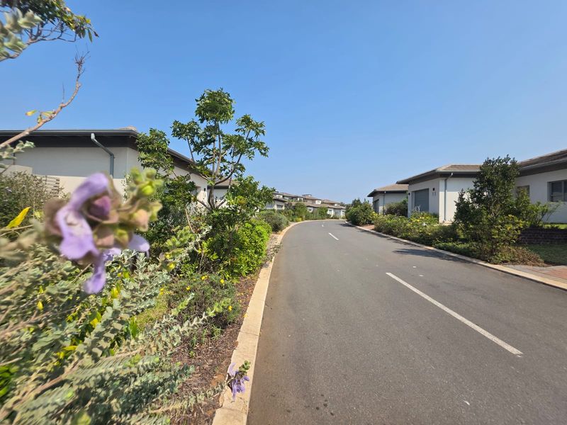 A view of the residential street within the estate, featuring paved roads, manicured verges, and surrounding residential properties.
