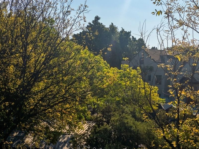 A scenic view overlooking lush green trees and neighbouring residential rooftops.