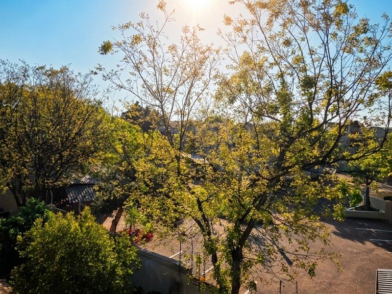 An elevated view overlooking the complex grounds, featuring mature trees, paved driveway areas, and surrounding residential building facades.