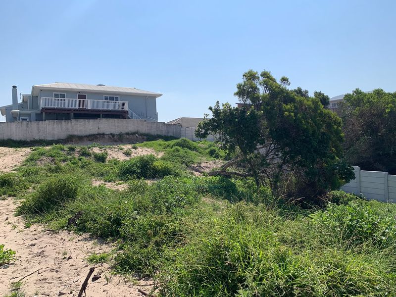 A view of a vacant residential plot featuring sandy terrain, natural vegetation, and a concrete boundary wall with neighboring property visible in the background.