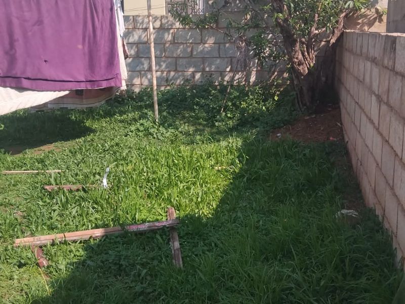 Rear garden area featuring a concrete block boundary wall, mature tree, and overgrown lawn space.