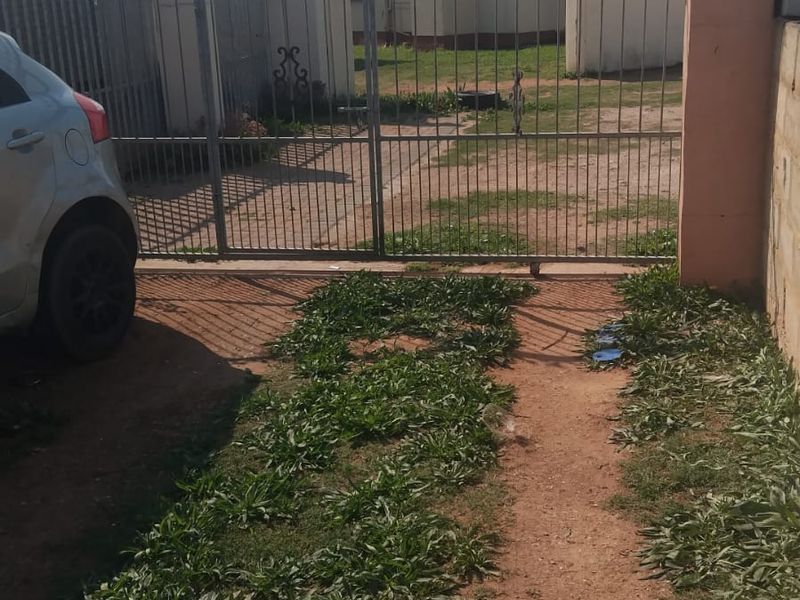 Front view of the property featuring a metal security gate, boundary wall, and an unpaved driveway with visible vegetation.
