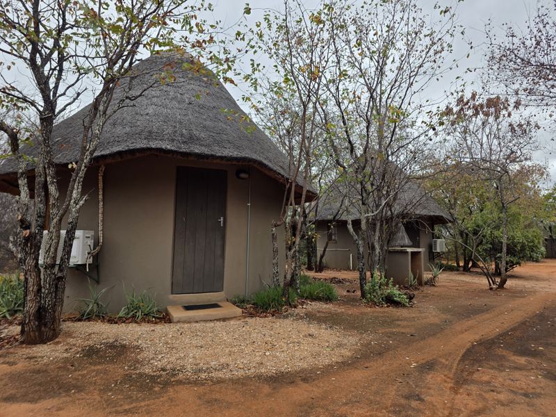 Two traditional thatched-roof rondavel-style units situated in a natural bushveld setting with gravel pathways and established trees.