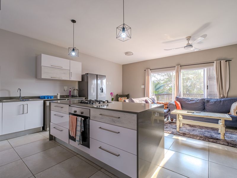 Modern open-plan living area featuring a contemporary kitchen with a central island, gas cooktop, and seamless flow to the outdoor patio through sliding doors.
