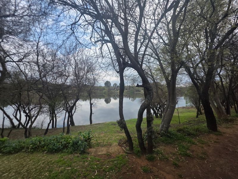 A scenic view of a tranquil lake framed by mature trees, showcasing the natural landscape and waterfront setting of the property.