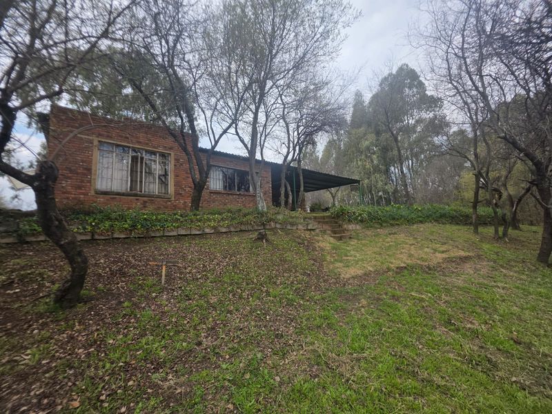 Rear view of a brick house featuring a covered patio area, set within a large, mature garden with established trees.