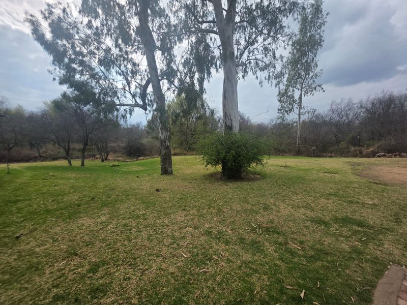 A spacious, established garden area featuring mature trees and a grass lawn, providing a natural outdoor setting.