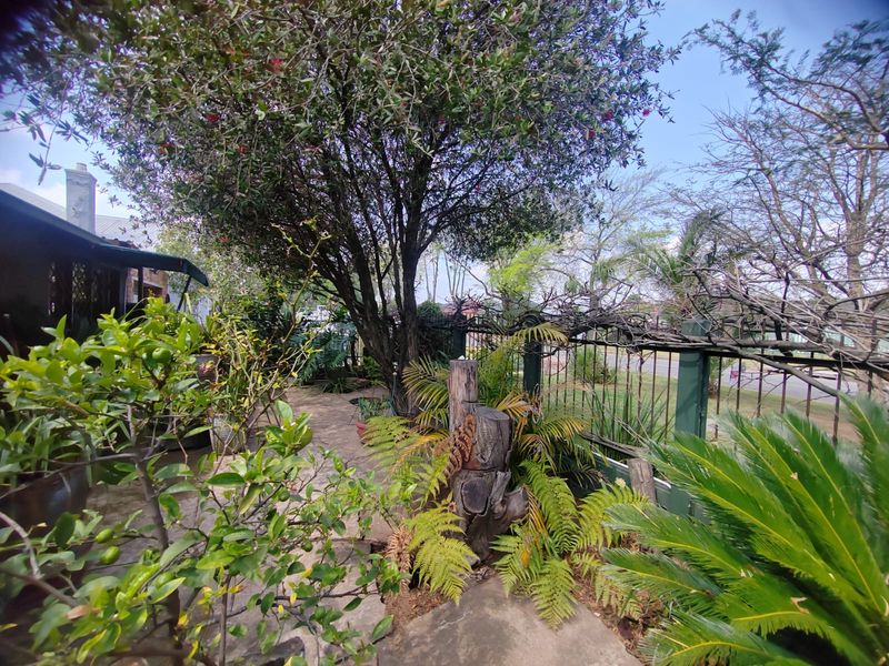 A lush, established garden area featuring a paved walkway, mature trees, and metal perimeter fencing, providing a private outdoor space.