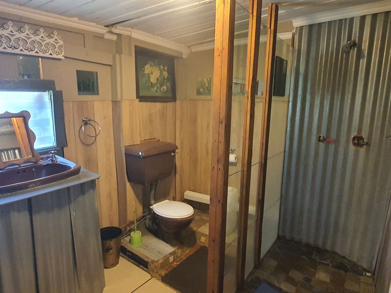 A rustic-style bathroom featuring timber paneling, corrugated metal shower walls, a vanity basin, and a toilet.